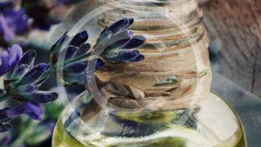 ‘Organic’ and ‘Natural’: What’s the Difference?